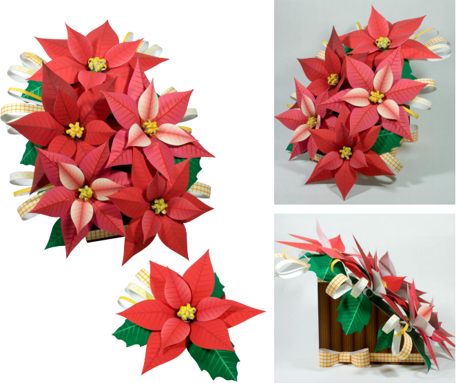 Plants Bouquet (Poinsettia) | Paperzone VN