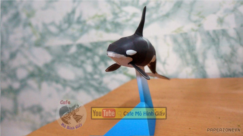 Bộ đồ chơi dạy học mô hình sinh vật cua biển cá mập megalodon cá voi xanh sát  thủ cho bé MySun  Lazadavn