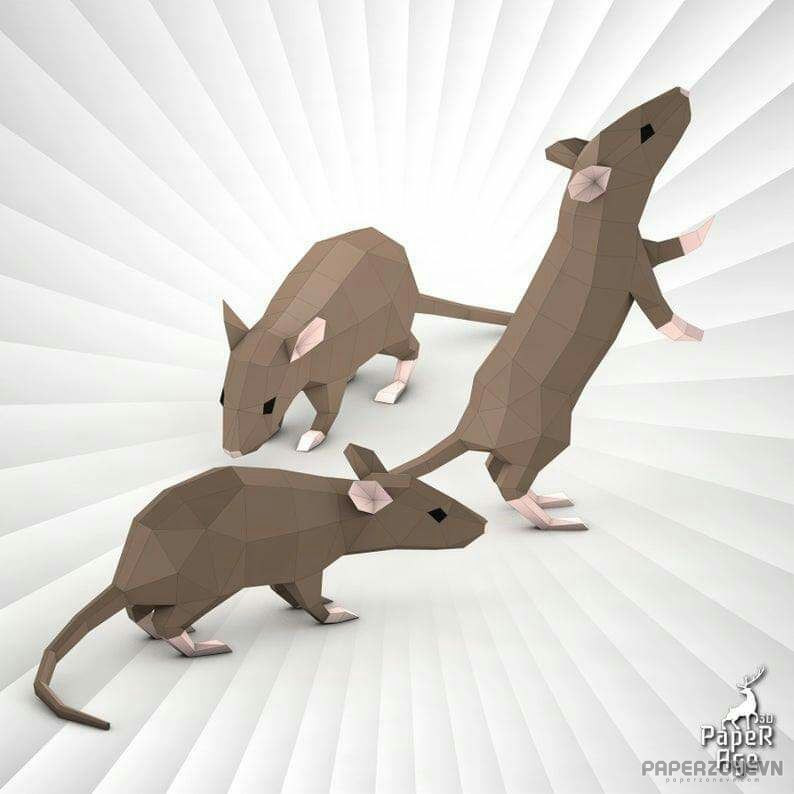 3 Rat Set