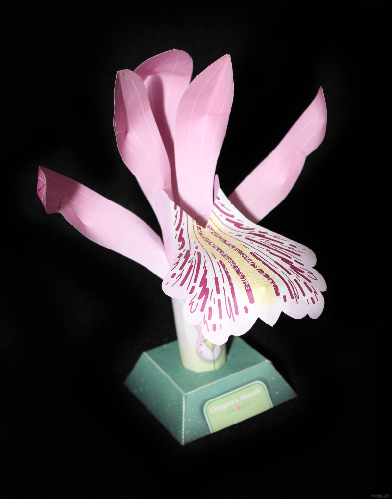 a794c2c153edfd6e3d663ef89e591a7a.jpg